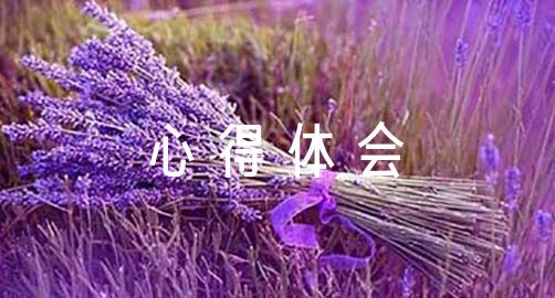 制定篮球交流计划以促进个人技能发展的方法_0